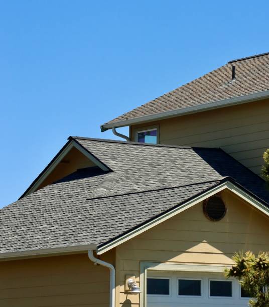 Best Roof Moss and Algae Removal  in Delhi, CA